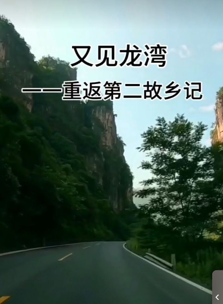 张传明‖又 见 龙 湾 ——重返第二故乡记