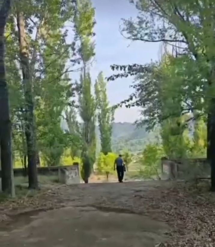 张传明‖又 见 龙 湾 ——重返第二故乡记