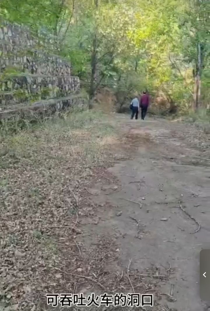 张传明‖又 见 龙 湾 ——重返第二故乡记