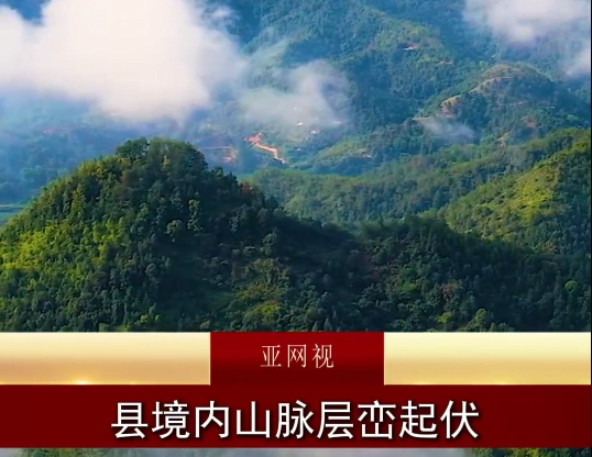 金秋时节,柚香馥郁。亚网视为您盛情推荐,源自世界长寿之乡的大埔蜜柚。