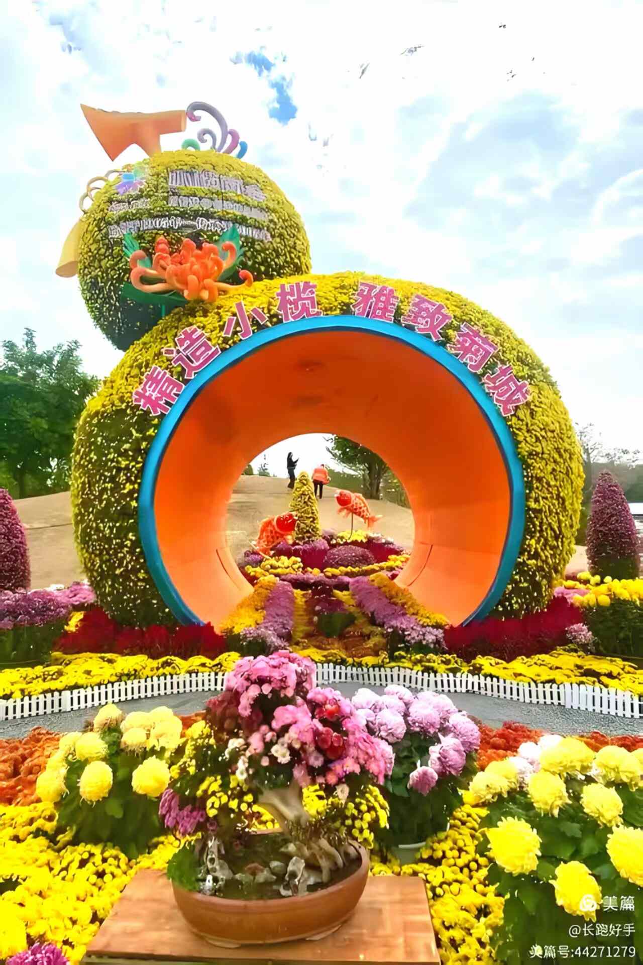 湾区秋日盛宴:小榄菊花会梦幻登场,AI互动与灯光秀邀您共赏“昼夜双景”
