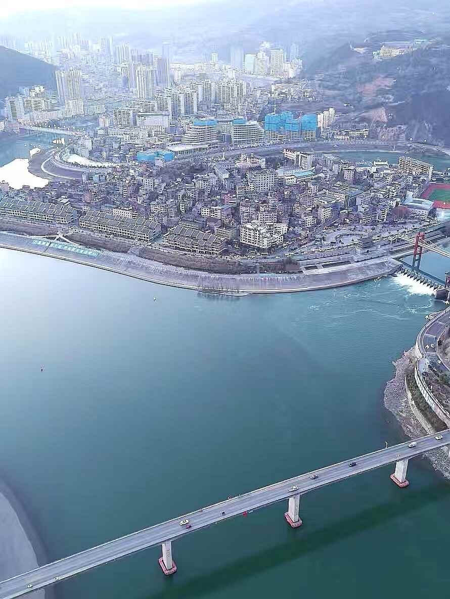 旬阳狮头柑甜蜜上市,秦岭孕育的“黄金果”