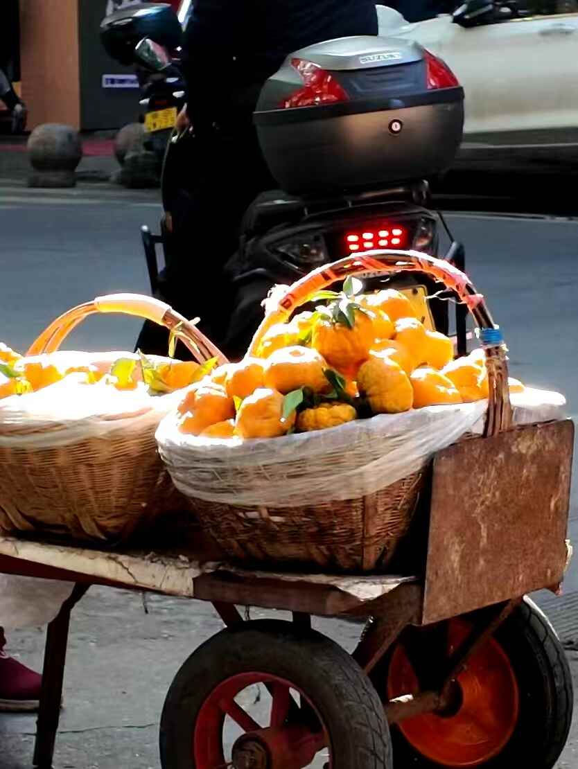旬阳狮头柑甜蜜上市,秦岭孕育的“黄金果”