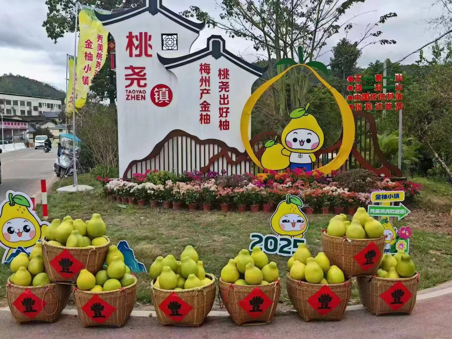 糖化好 纯甜不酸 梅州桃尧沙田柚 肉质脆嫩 清甜爽口 30斤/袋(网袋)