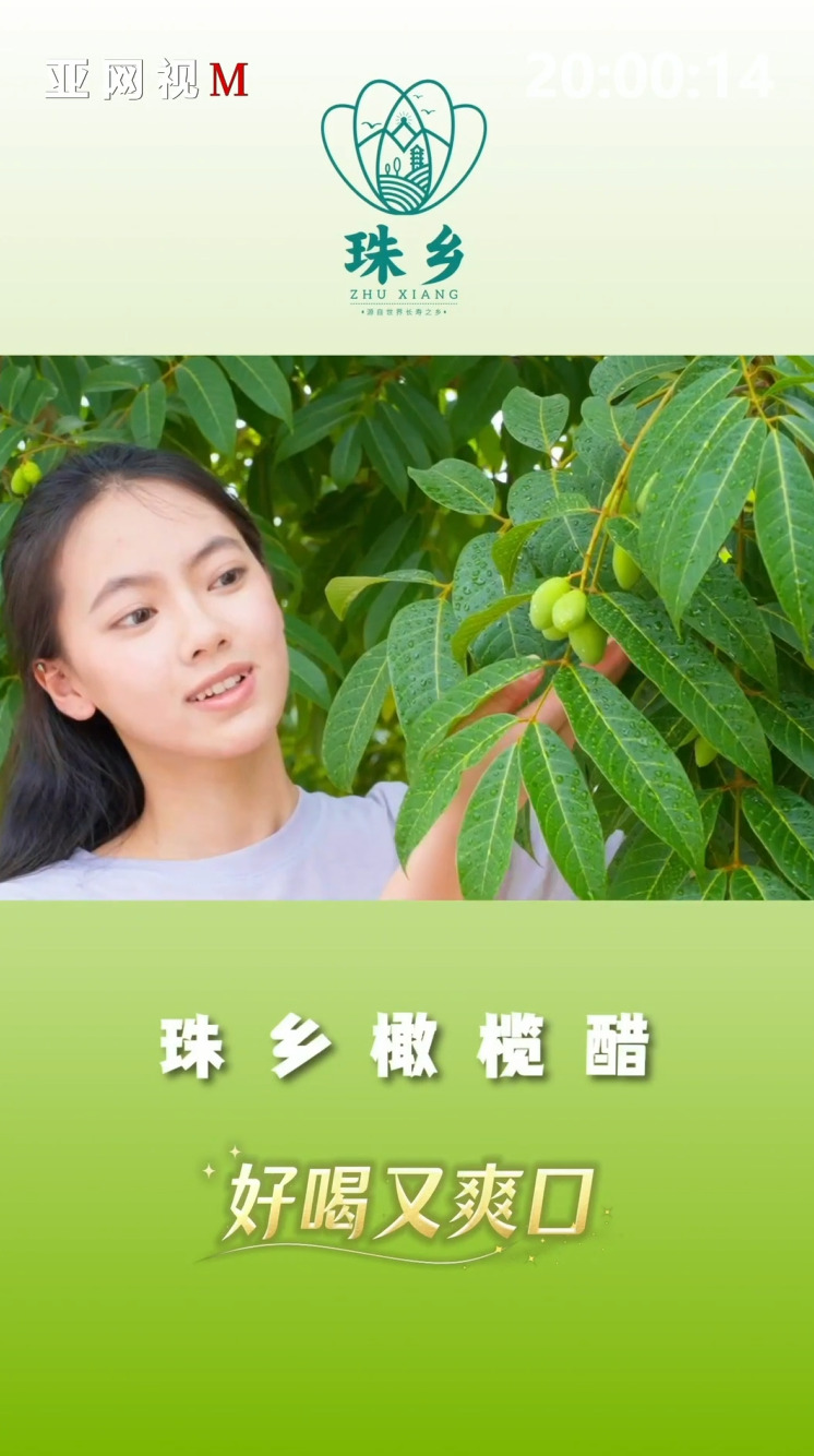 珠乡橄榄醋