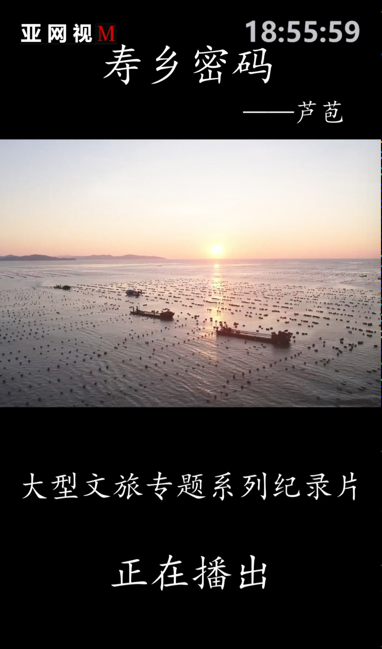 《寿乡密码》— 芦苞篇